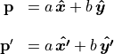 \begin{array}{rl}
\mathbf{p} &= a\,\bm{\hat{x}} + b\,\bm{\hat{y}} \\ \hfill \\
\mathbf{p}'&= a\,\bm{\hat{x'}} + b\,\bm{\hat{y'}}
\end{array}