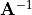 \mathbf{A}^{-1}